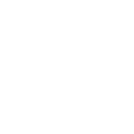 Action Security Logo